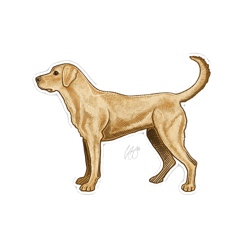 Yellow_Lab_Decal