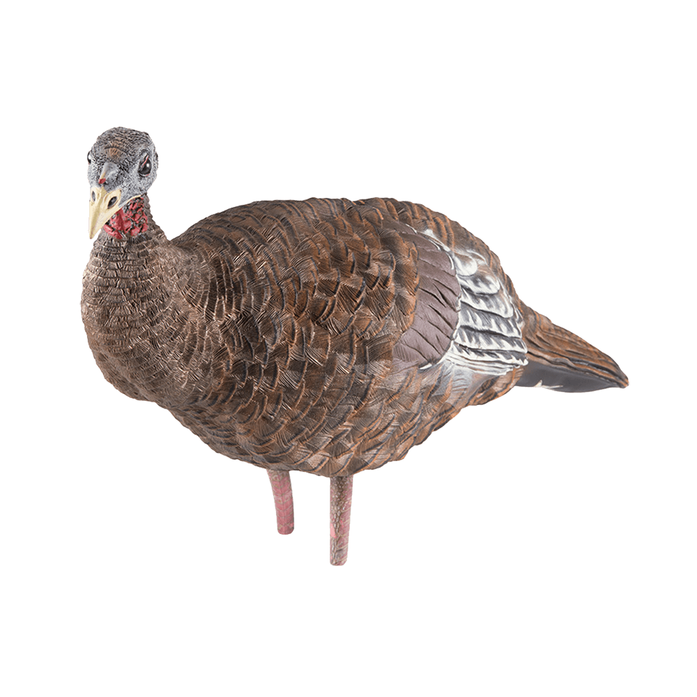 LCD BREEDER HEN TURKEY DECOY side view