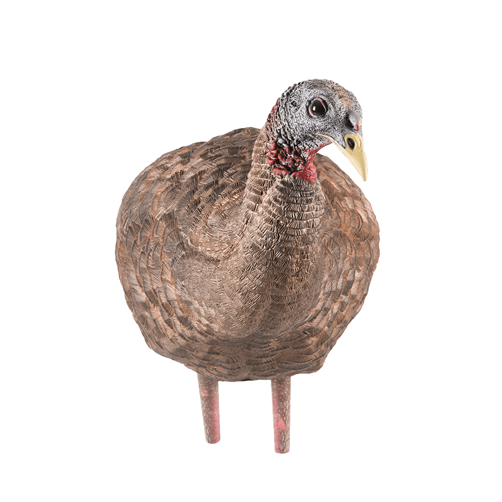 LCD BREEDER HEN TURKEY DECOY front view