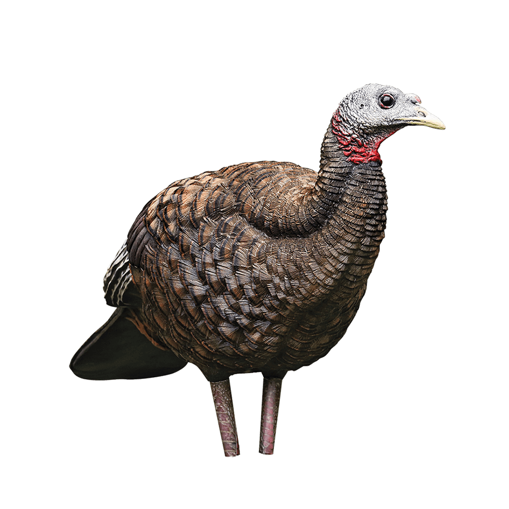 LCD BREEDER HEN TURKEY DECOY