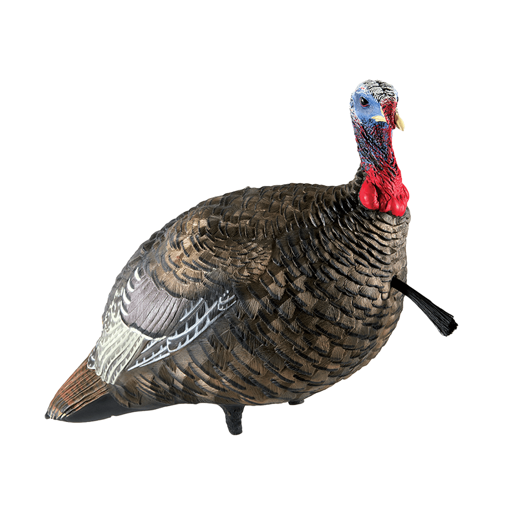 LCD QUARTER-STRUT JAKE DECOY