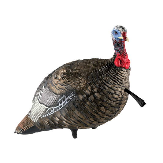 LCD QUARTER-STRUT JAKE DECOY