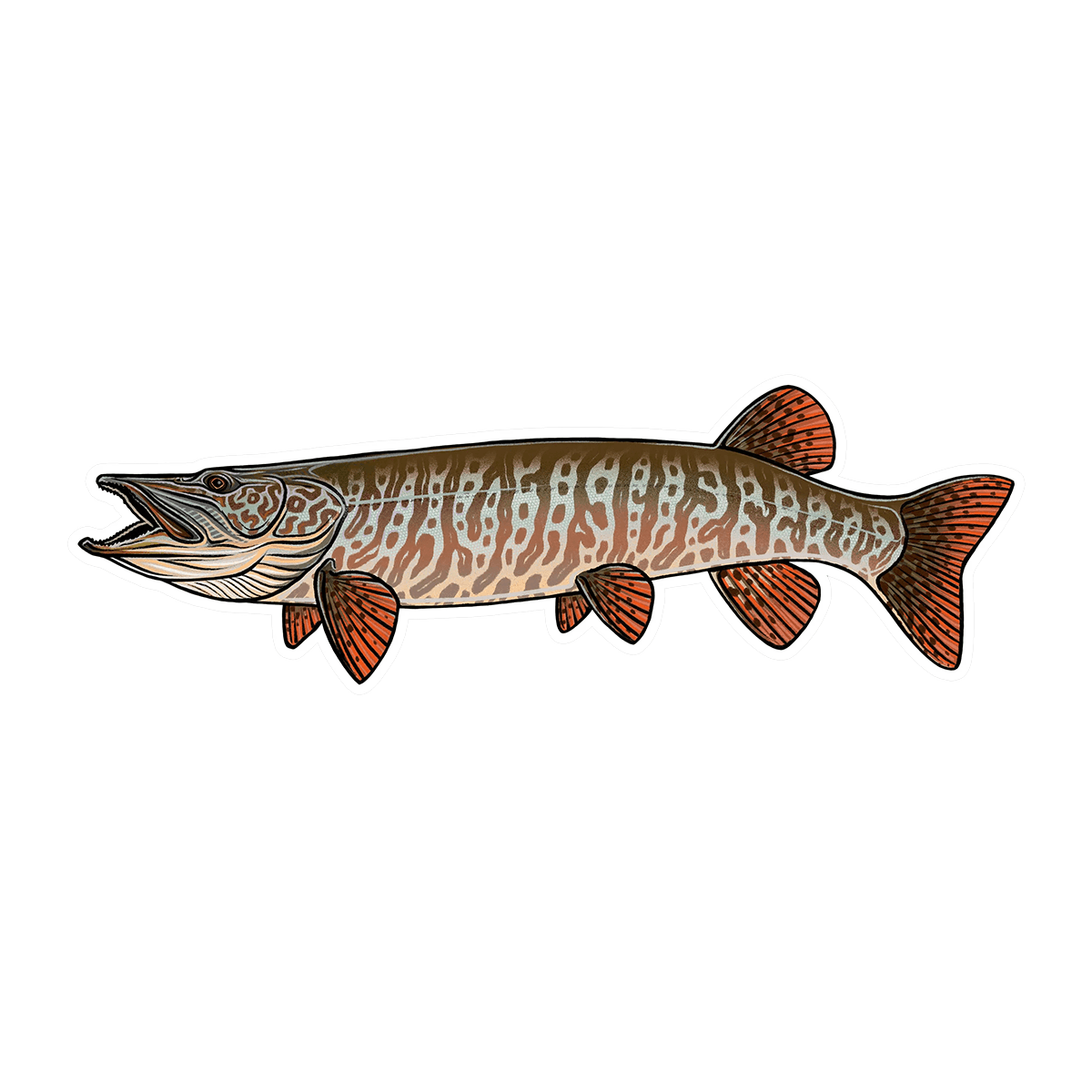 CASEY UNDERWOOD FISH DECALS / STICKERS tiger muskey