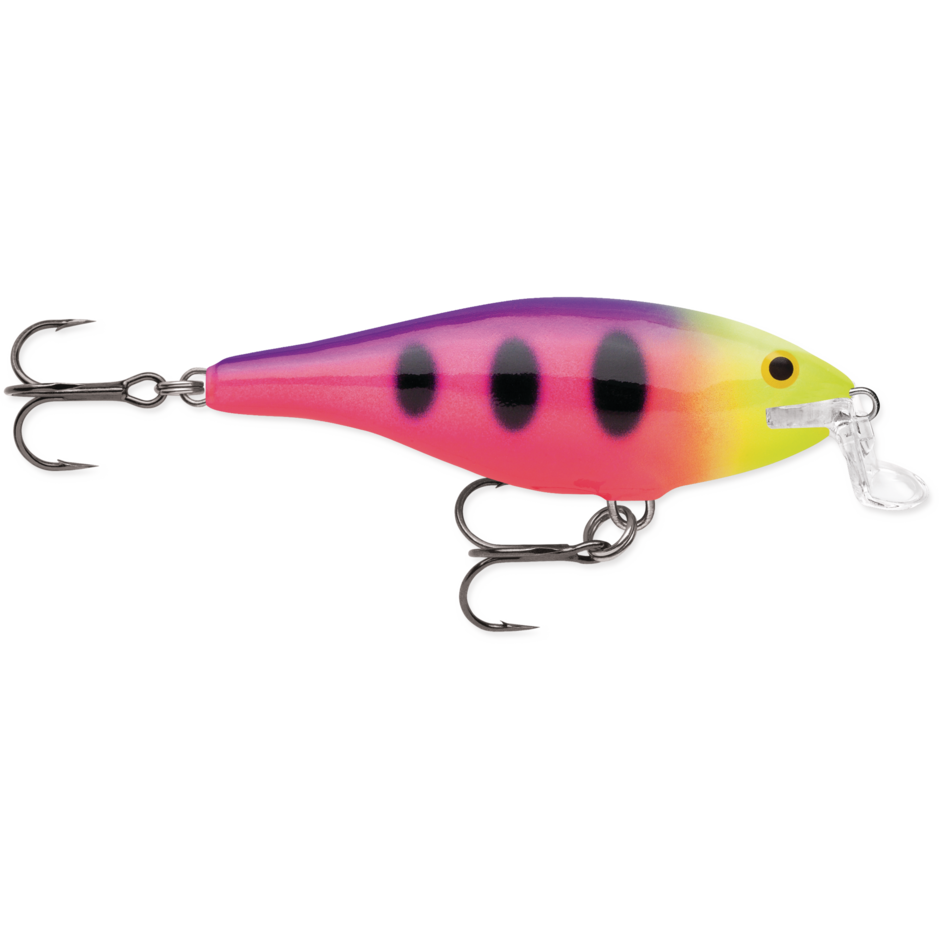 Rapala SHALLOW SHAD RAP - Fruit Punch