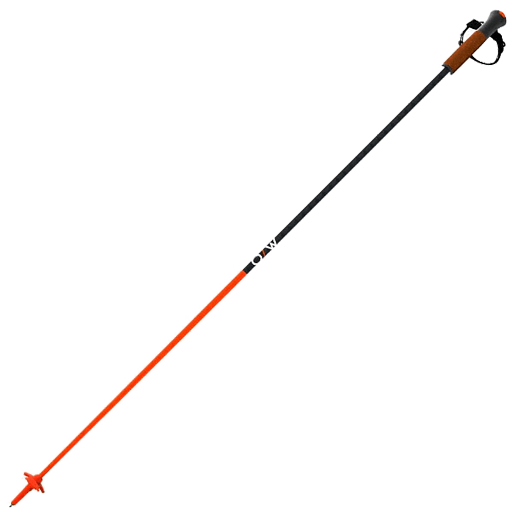 FISCHER GT 13 COMP MAG SKI POLE 2024
