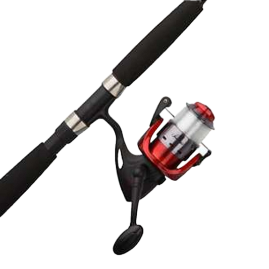 BIG GAME SPINNING COMBO
