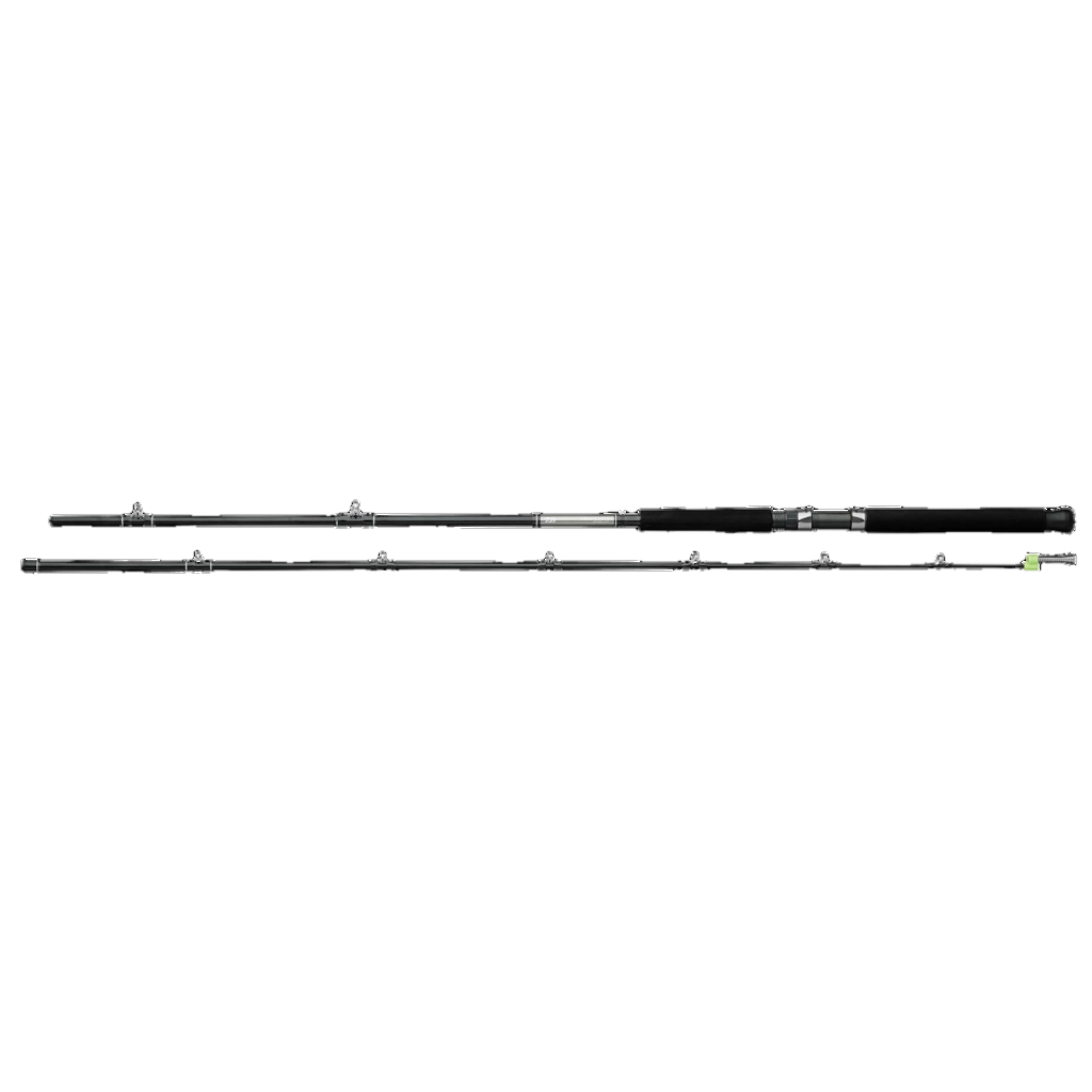GREAT LAKE ROD 9' 6"" MH F 2PC