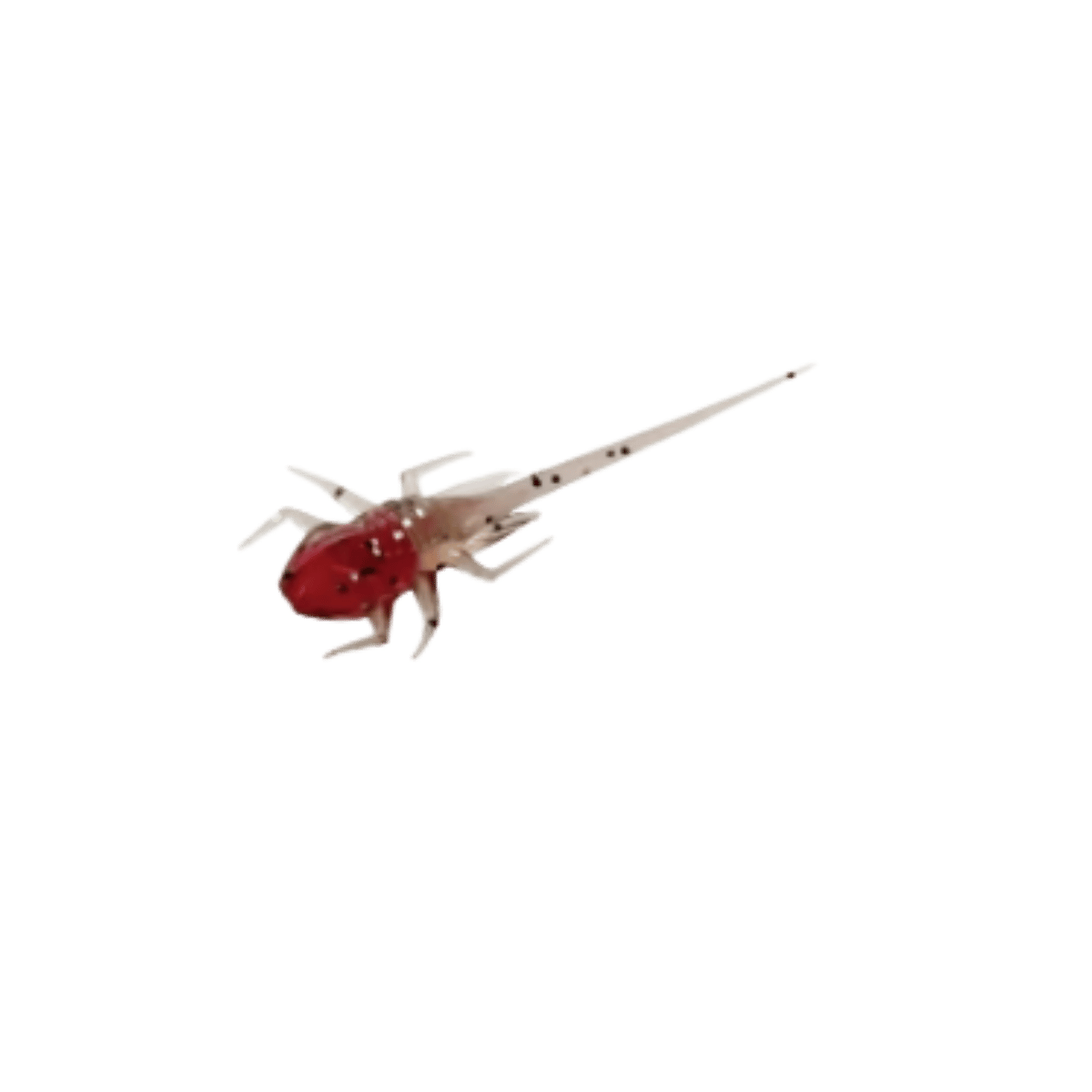 13 FISHING B.A.M.F. ICE PLASTICS CHERRY BOMB