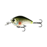 DREAM GILL