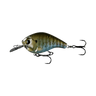 RUSTY BREAM