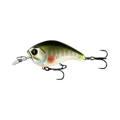 13 FISHING JABBER JAW DEEP HYBRID SQUAREBILL DREAM GILL