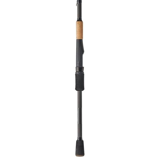Bass X Spinning Rod