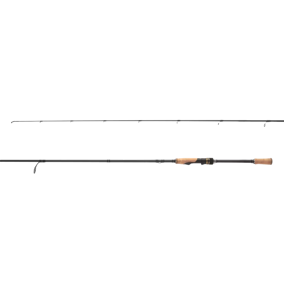 Intenza Spinning Rod