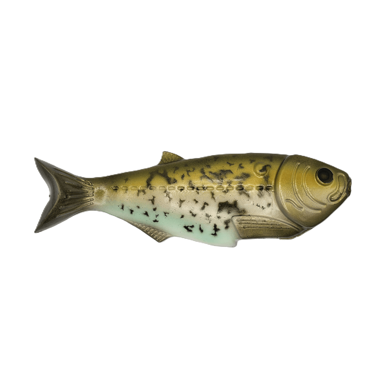 6.5 inch shad crappie