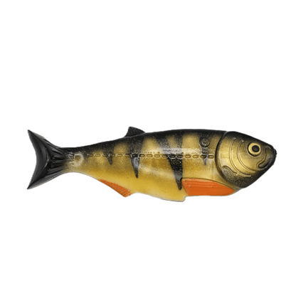 6.5 inch shad perch color