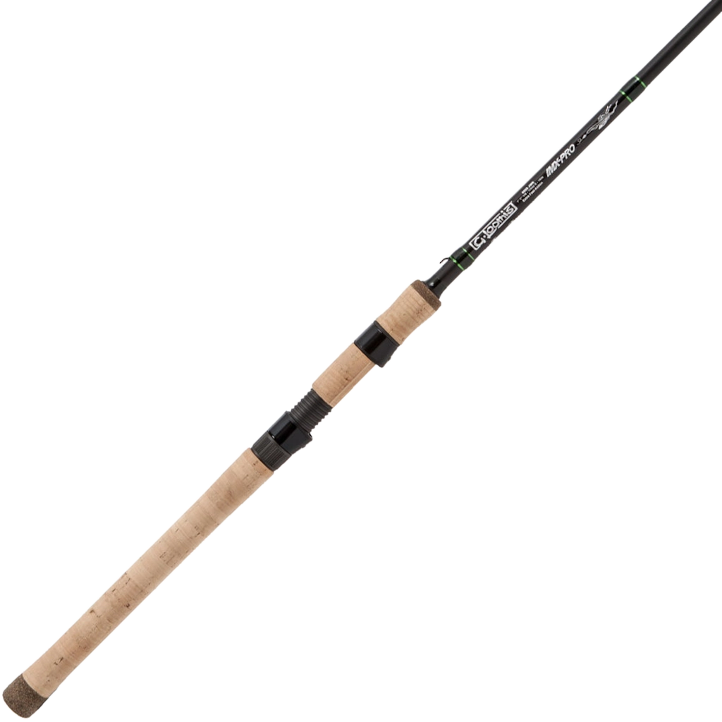 IMX PRO Jig & Worm Spinning Rod