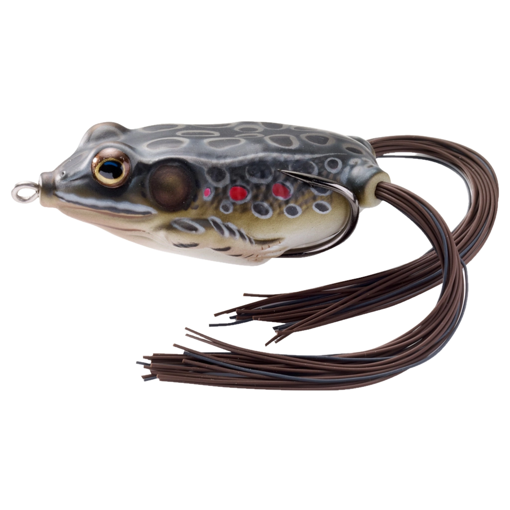 HOLLOW BELLY FROG