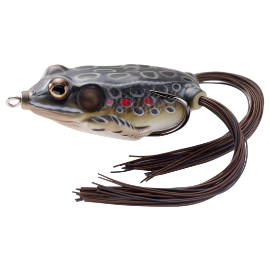 HOLLOW BELLY FROG