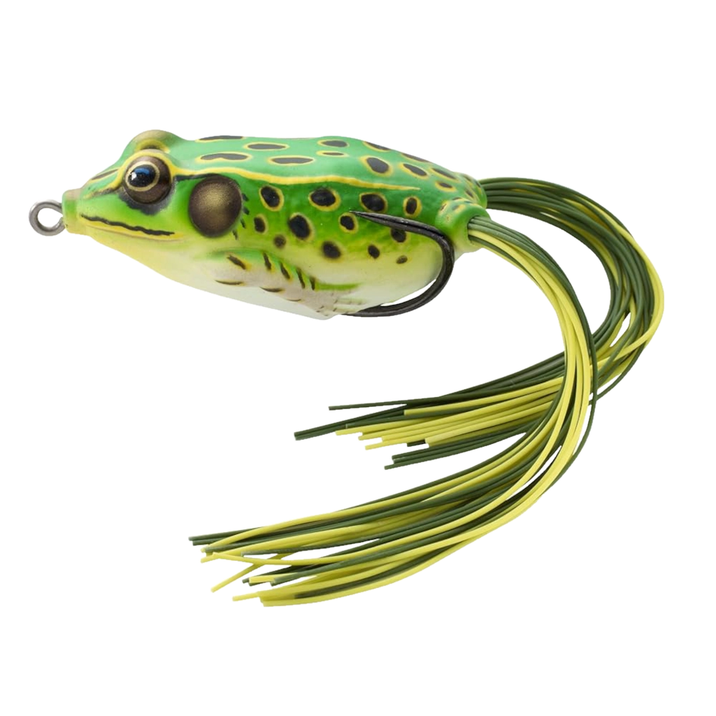 HOLLOW BELLY FROG