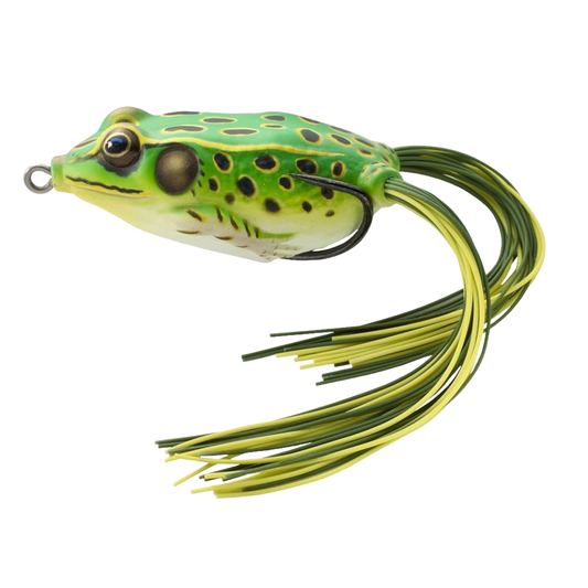 HOLLOW BELLY FROG