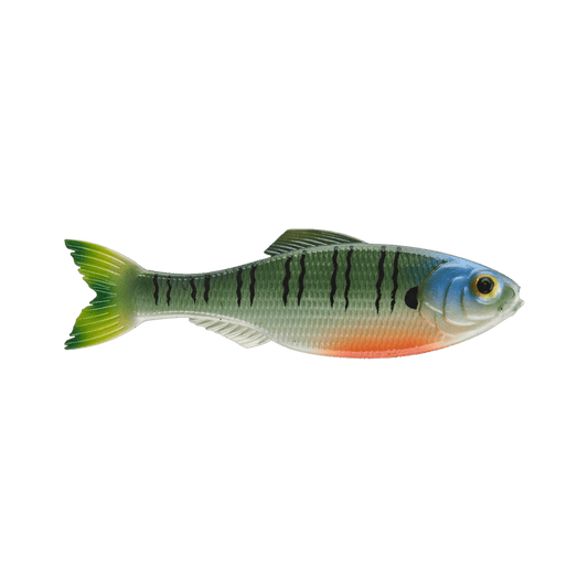 6TH SENSE FISHING PANORAMA 2.8 8PK 4K SHAD