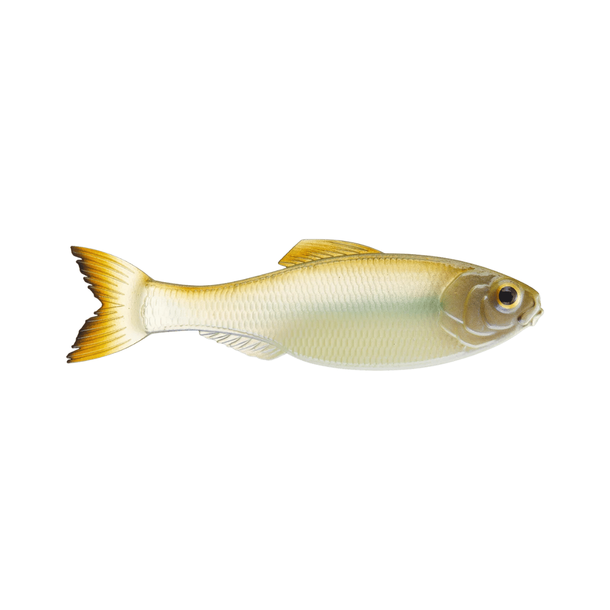 6TH SENSE FISHING PANORAMA 2.8 8PK GHOST MINNOW