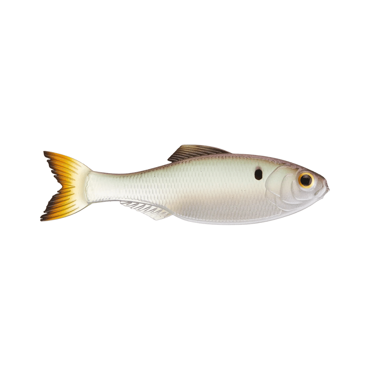 6TH SENSE FISHING PANORAMA 2.8 8PK GHOST PRO SHAD