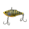 GOLDEN GILL