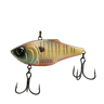 SPRING BLUEGILL
