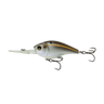 GIZZARD SHAD