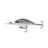 WILD SHAD