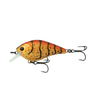 RADIATION CRAW