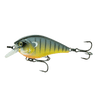 BACKWTR BLUEGIL