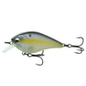 SHAD SENSE