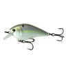 WILD SHAD