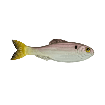 6TH SENSE PANORAMA BAIT 3.5 INCH - GHOST PRO SHAD