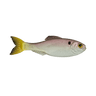 GHOST PRO SHAD