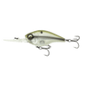 SHAD BURST