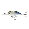4K SHAD