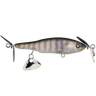 JUVENILE BLUEGL