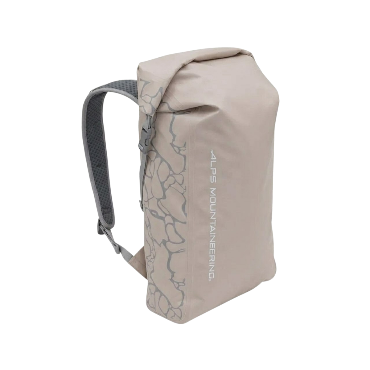 ALPS MOUNTAINEERING REFLECTION 20L TAUPE