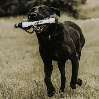 ASD SPORT PERFECTHOLD HEXABUMPER VGRIPS - DOG TRAINER - LIFESTYLE IMAGE