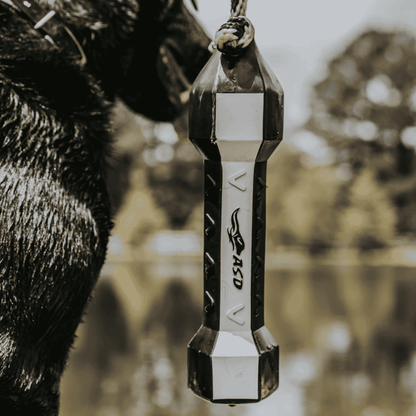 ASD SPORT PERFECTHOLD HEXABUMPER VGRIPS - DOG TRAINER - LIFESTYLE IMAGE - 1