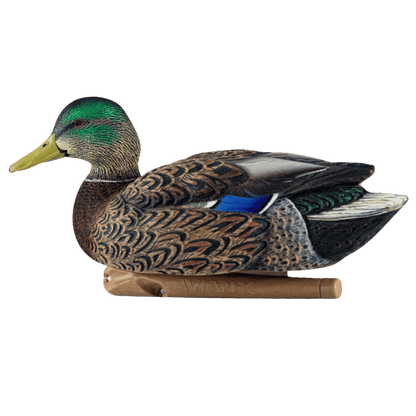AVIAN X TOP FLIGHT EARLY SEASON MALLARD_SIDE VIEW ANGLE