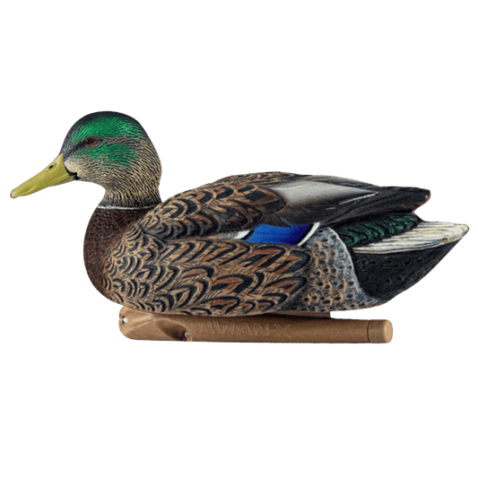 AVIAN X TOP FLIGHT EARLY SEASON MALLARD_SIDE VIEW ANGLE
