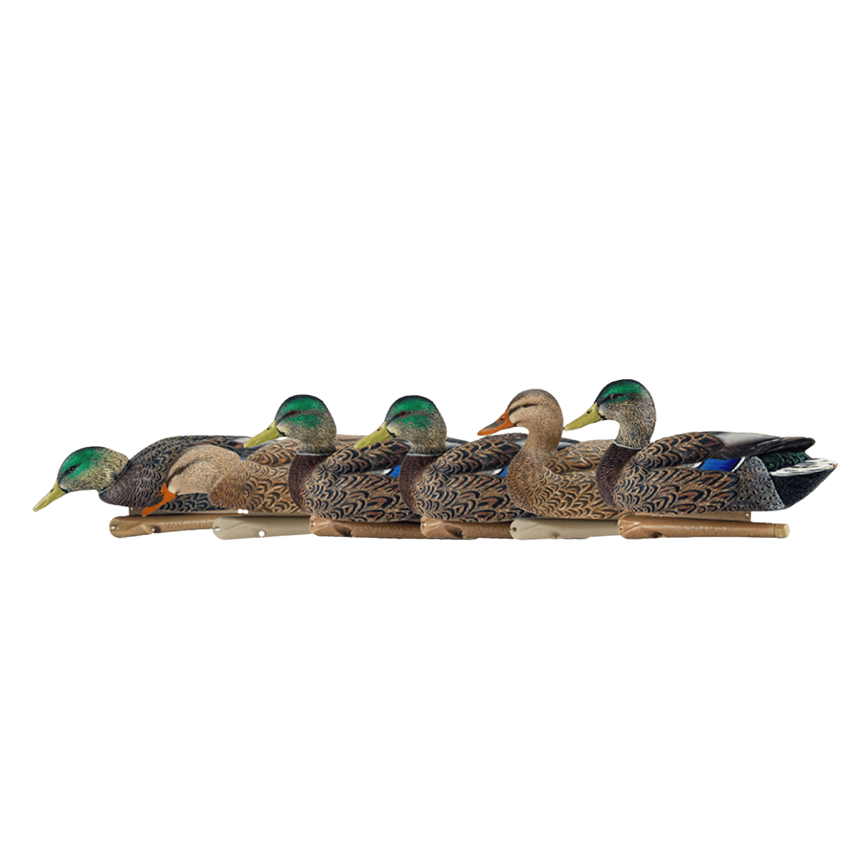 AVIAN X TOP FLIGHT EARLY SEASON MALLARD_SIDE VIEW ANGLE