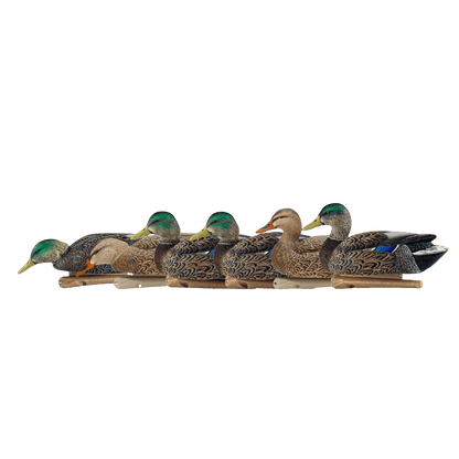 AVIAN X TOP FLIGHT EARLY SEASON MALLARD_SIDE VIEW ANGLE