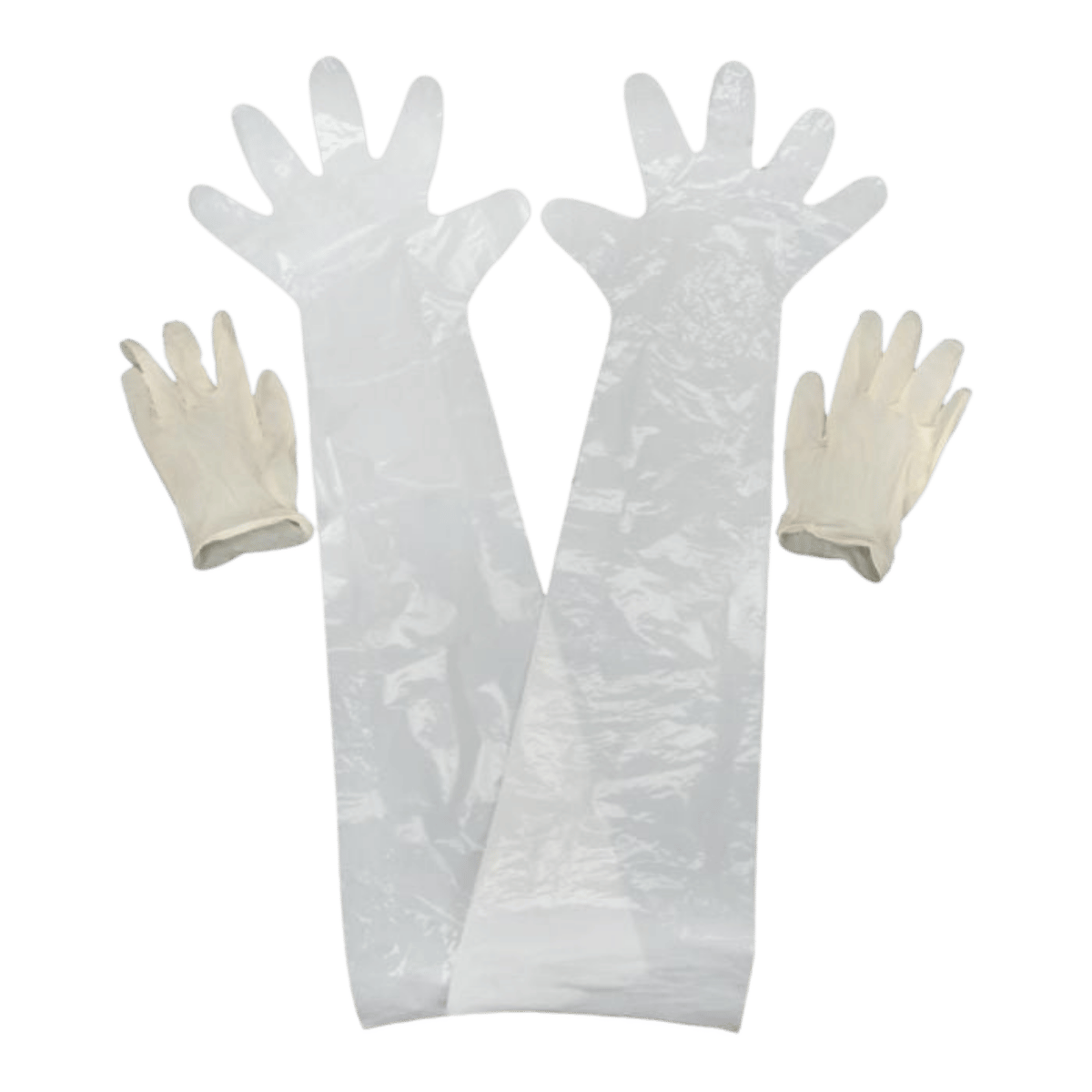ALLEN FIELD DRESSING GLOVES CLEAR 4PCS