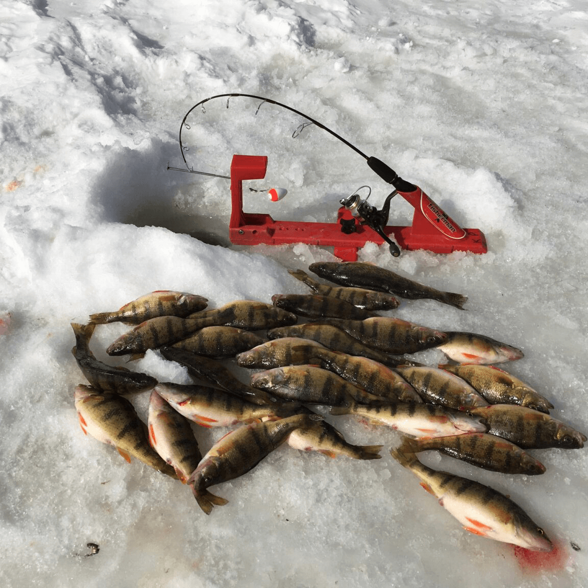 AUTOMATIC FISHERMAN ICE FISHERMAN BASE - IN USE