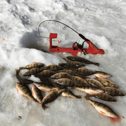 AUTOMATIC FISHERMAN ICE FISHERMAN BASE - IN USE